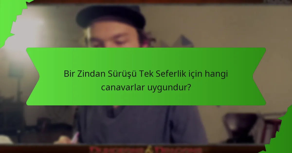 Bir Zindan Sürüşü Tek Seferlik için hangi canavarlar uygundur?