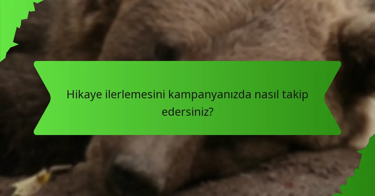 Hikaye ilerlemesini kampanyanızda nasıl takip edersiniz?