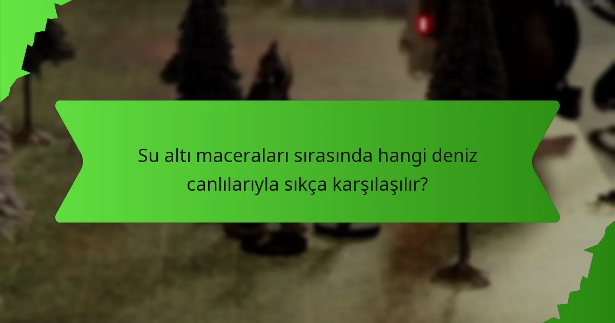Su altı maceraları sırasında hangi deniz canlılarıyla sıkça karşılaşılır?